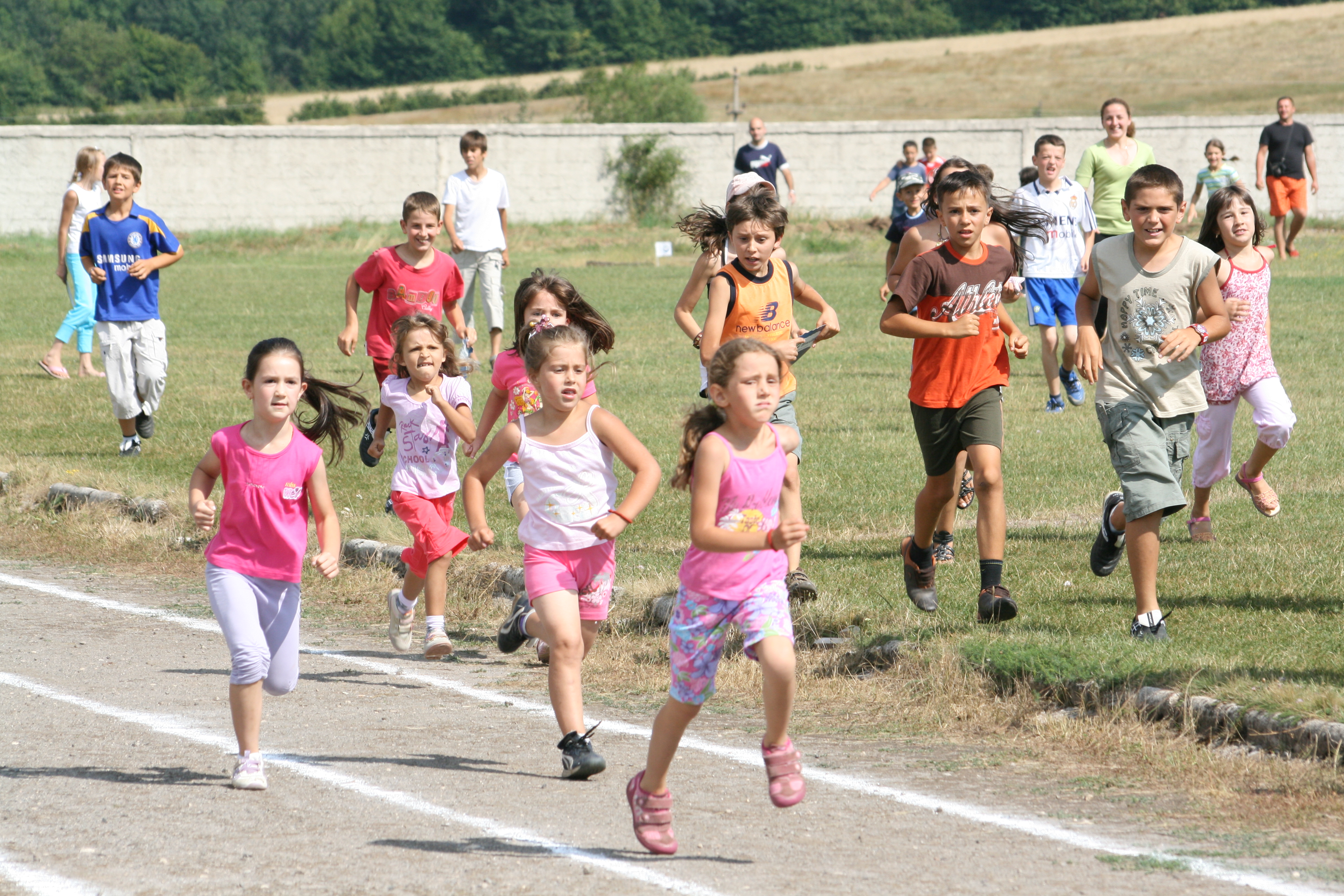 Sportsko-kulturni festival regionalnog značaja