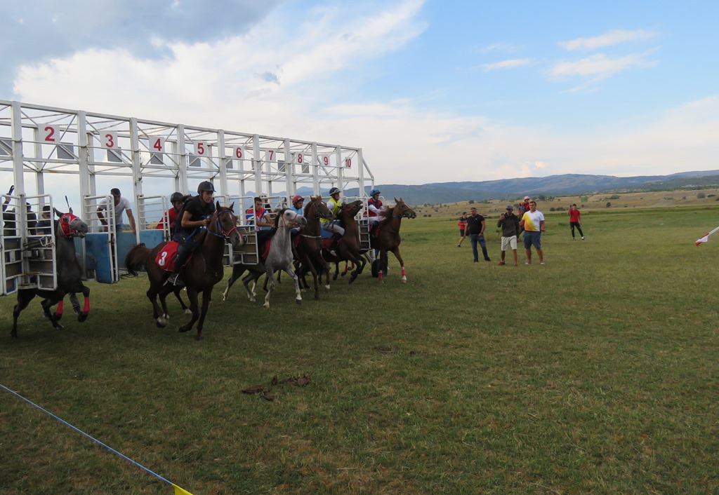 Čast, brzina i ponos na istoj stazi