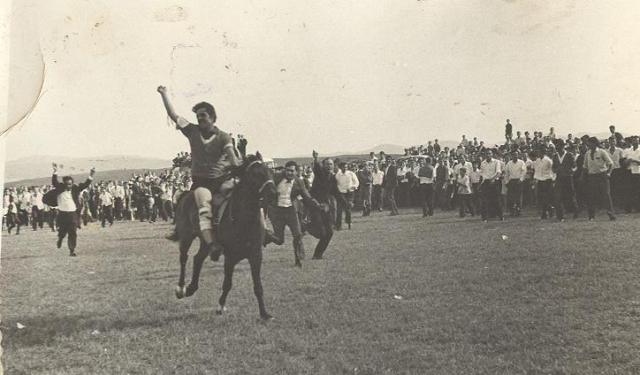 Horse Races