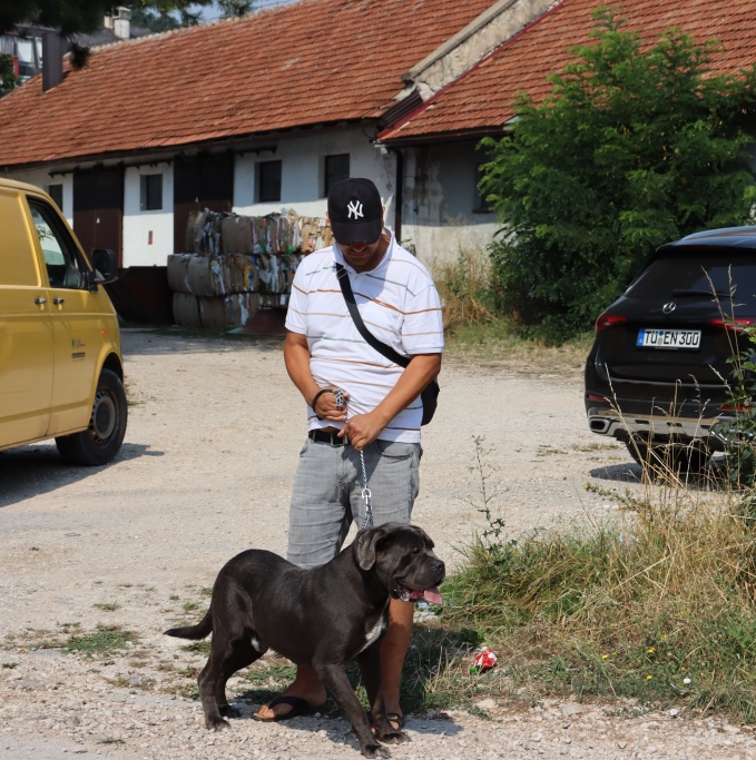 Ocjenska smotra pasa