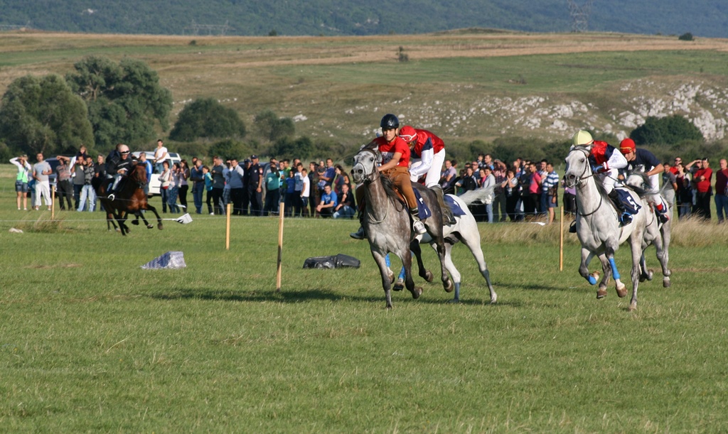 Horse Races