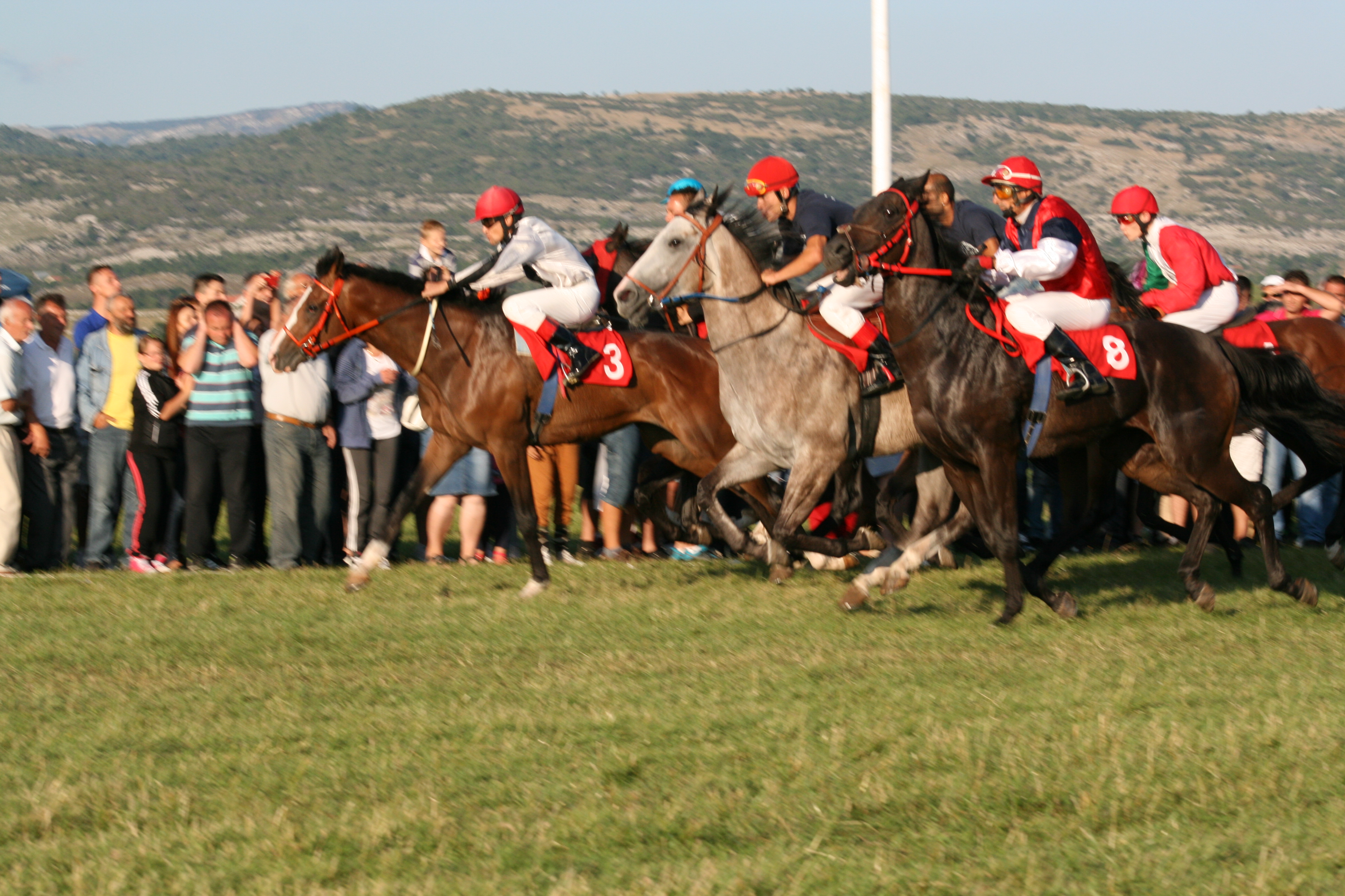 Horse Races