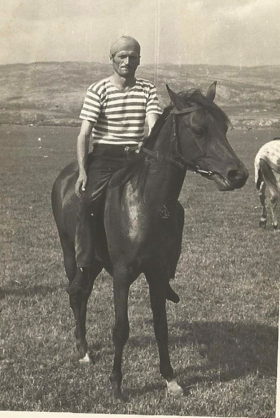 Horse Races