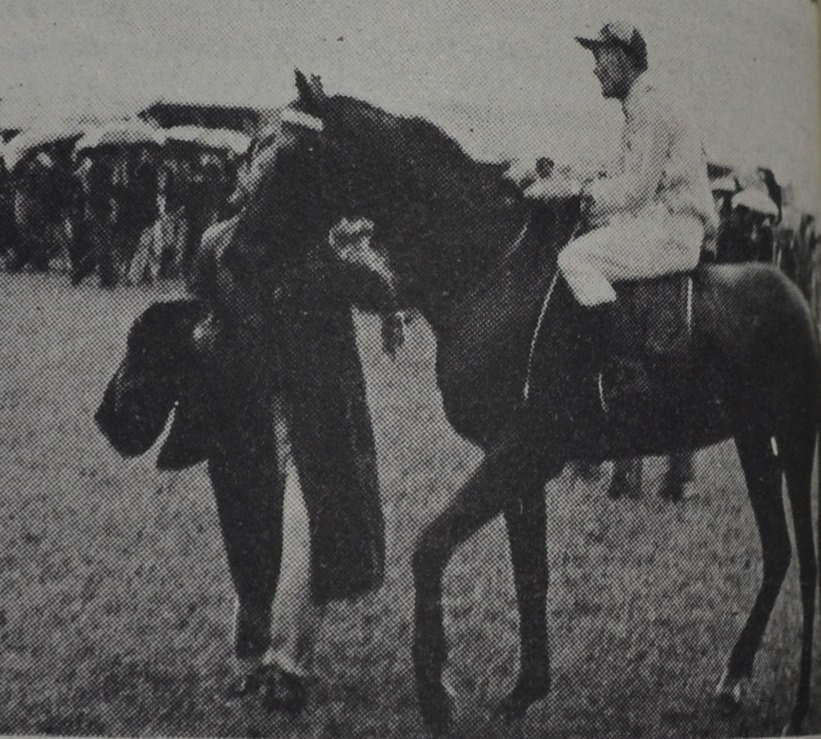 Horse Races