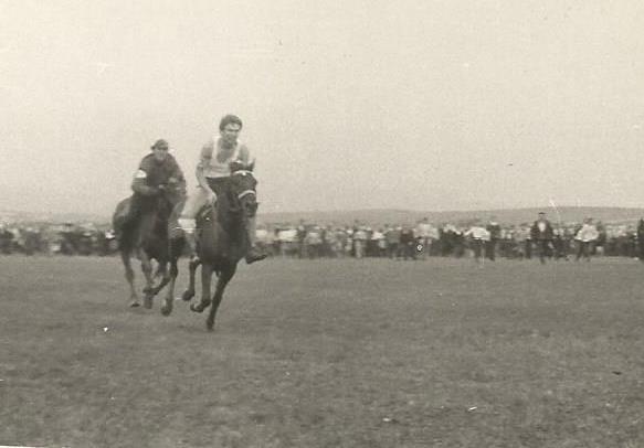 Horse Races