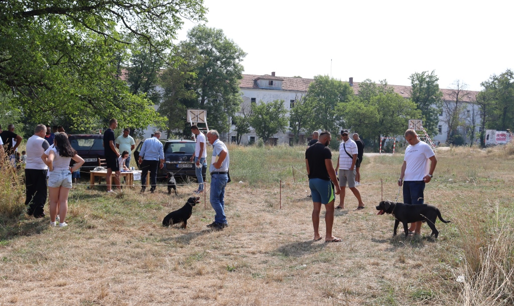 Ocjenska smotra pasa