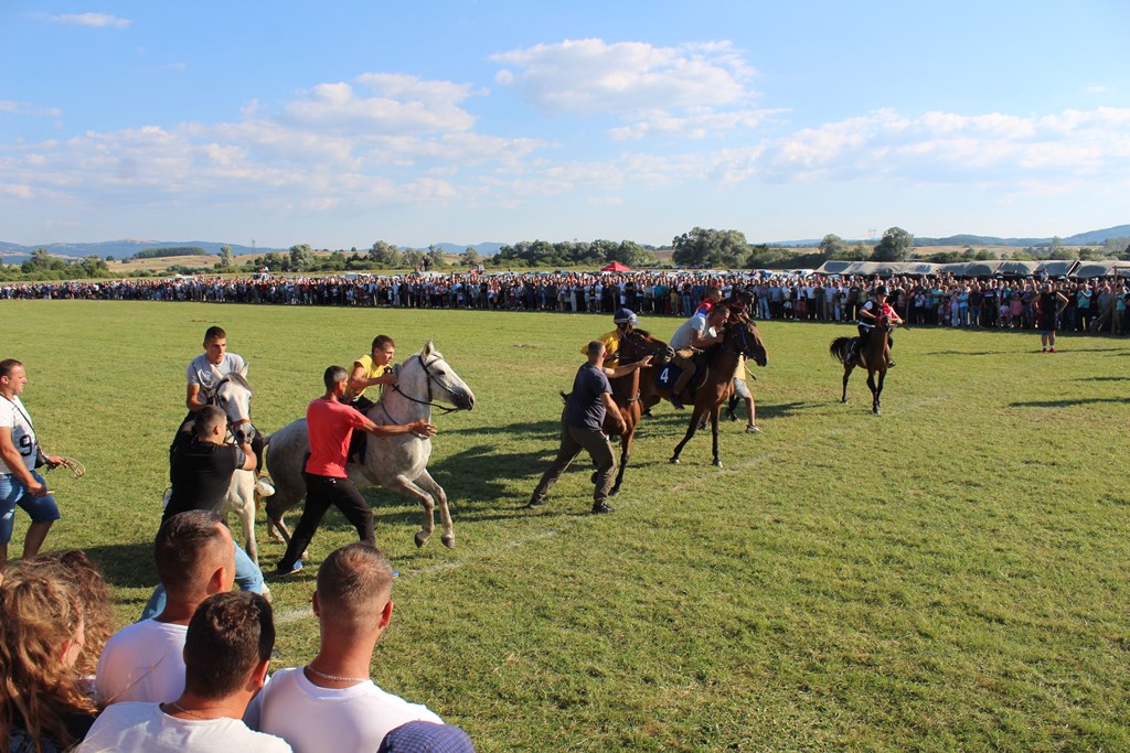 Horse Races