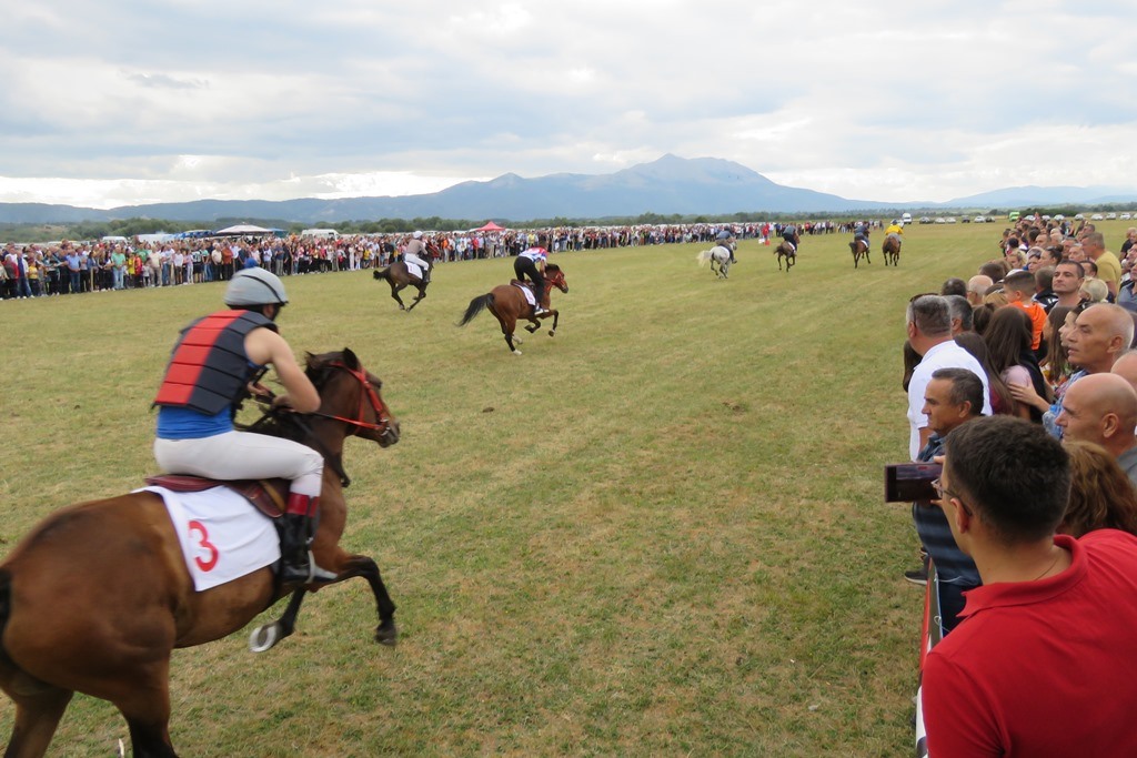 Horse Races